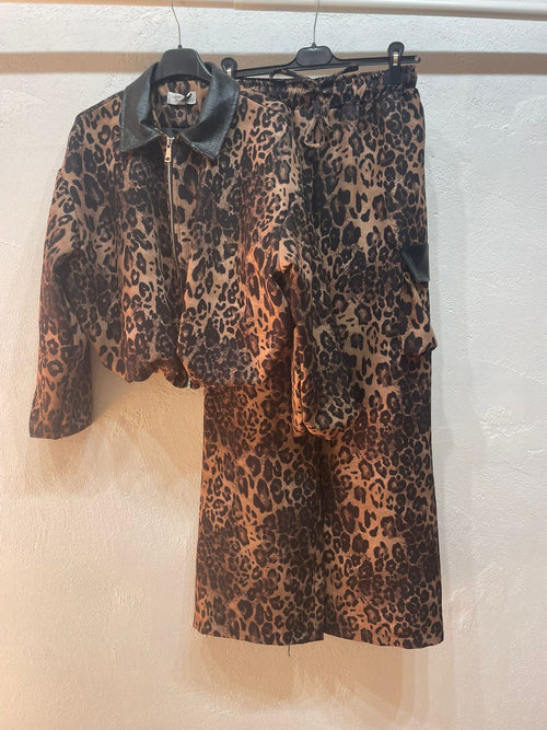 Coordinato Leo