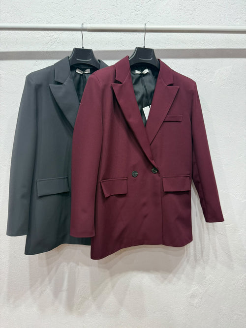 Blazer Venice